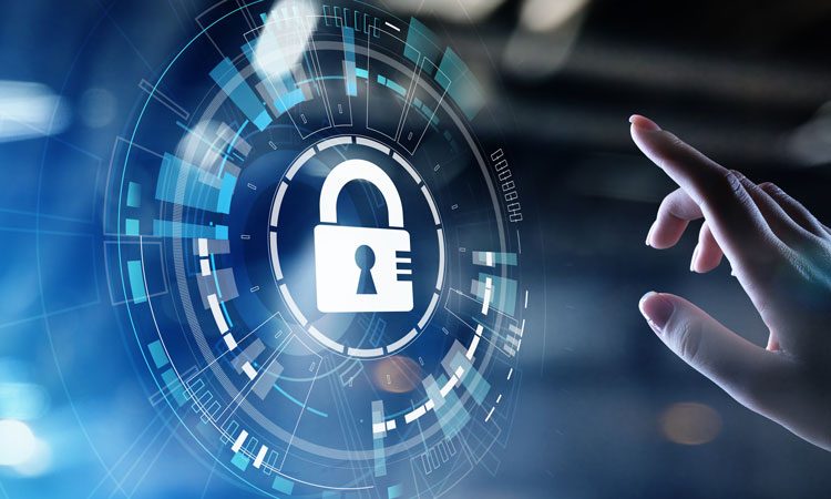 You are currently viewing DiD Unveiled: Securing Your Business Like a Pro